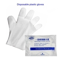 Disposable Plastic Gloves