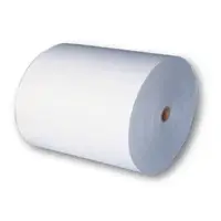Food (Fruit) Wrapping Paper
