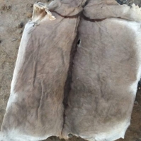 High Quality Dried Donkey Hides