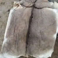 High Quality Dried Donkey Hides