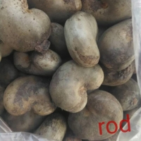 High Quality Cashew Nuts