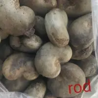 High Quality Cashew Nuts