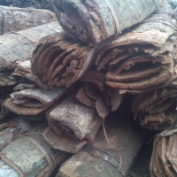 Dried Cabinda