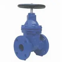 Cast Iron Valve