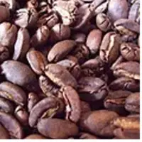 Roasted Beans