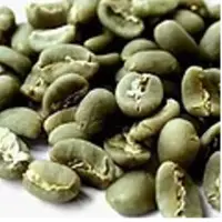 Green Beans
