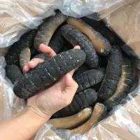 Dried Sandfish Sea Cucumber
