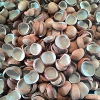 Coconut Copra