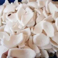 White Frozen Coconut Meat