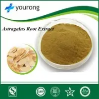 Astragalus Root Extract Powder