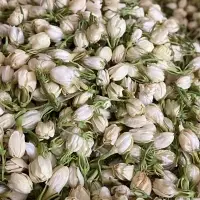 Jasmonic Tea/Jasmonic Powder