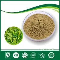 ISO Certificated Green Tea Extract