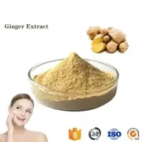 Dry Ginger Root Extract