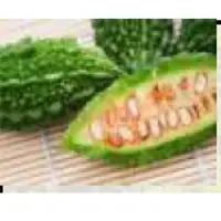 Bitter Melon Fruit Powder