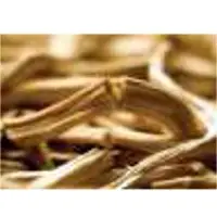 Shatavari Root Powder