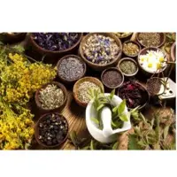Herbal Seeds