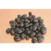 Velvet Bean (Kiwanch) Seeds
