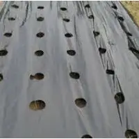 Mulching Film