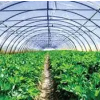 Agriculture Film