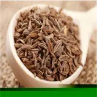 Cumin Seeds