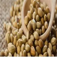 Coriander Seeds