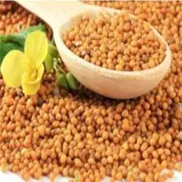 Yellow Mustard Seeds