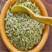 Fennel