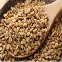 Fenugreek Seeds