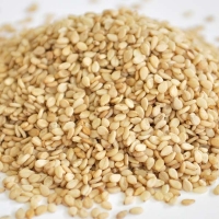 All types Of Sesame Seeds