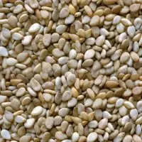 Watermelon Seeds