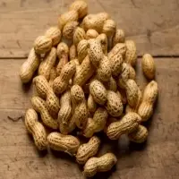 Peanuts