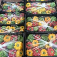 Pepper Colors