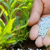 Calcium Nitrate