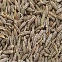 Indian Cumin Seeds & Powder