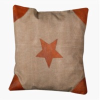 Indian Vingate Cushion