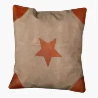 Indian Vingate Cushion