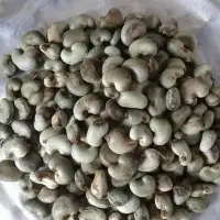 Raw Cashew Nuts
