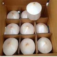 Diamon Coconut