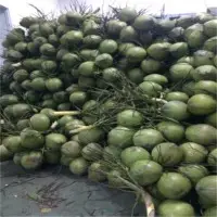 Green Coconut