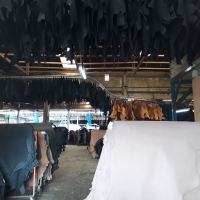 Cow Leather