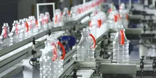 Everthrive Packaging Ltd. management image 2