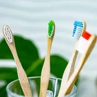 Bamboo Toothbrush