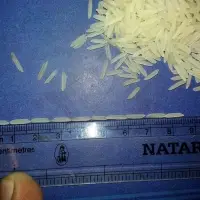 1121 Basmati Creamy Sella Rice
