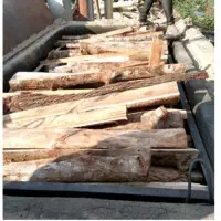 Hard Wood Branches