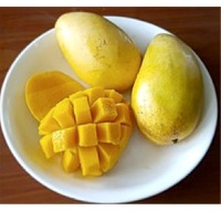 Carabao Mangoes