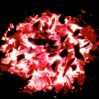 Activated Carbon & Charcoal