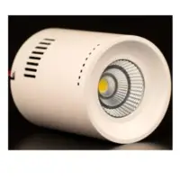 LED Exposed Down Light