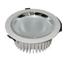 LED Downlight