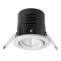 Exposed Downlight