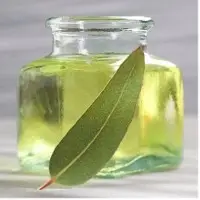 Eucalyptus Oil